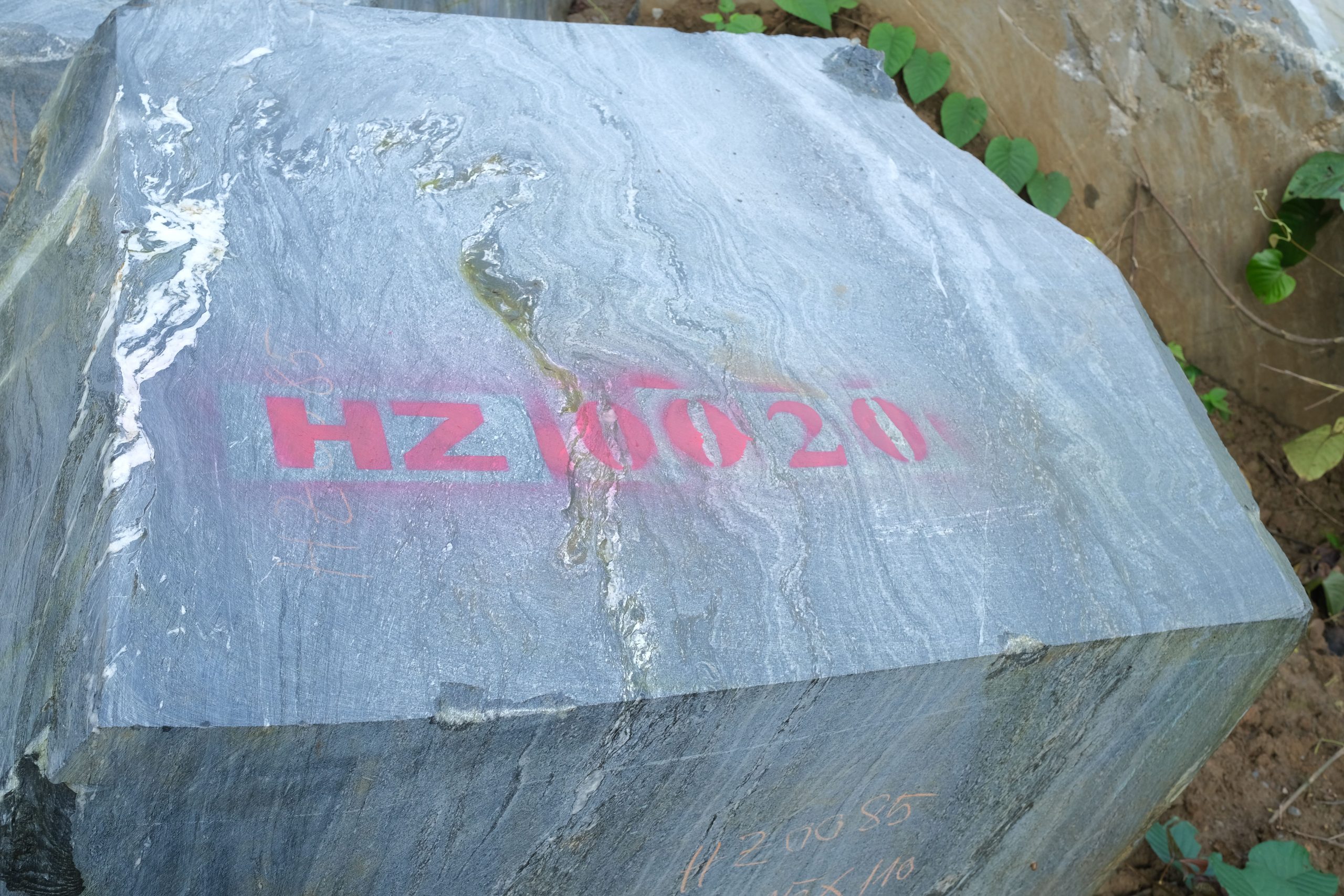 HZ0020